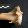 Ua-Tiprox3.jpg