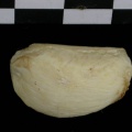 Cl2-Pat2.jpg
