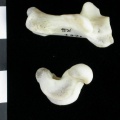 Ll-TalCalca4.jpg