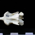 Fs-Axis3.JPG