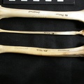 Fémur, tibia et fibula (16798 visites) Lynx caracal - Adulte - Éléments droitsCollection : Département d'Ostéologie du Musée National ... Fémur, tibia et fibula