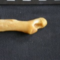 Ulna : partie distale (14613 visites) Panthera pardus - Mâle - Adulte - Élément droitCollection : Département d'Ostéologie du Musée ... Ulna : partie distale