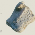Eqc-Fem-proximal.jpg