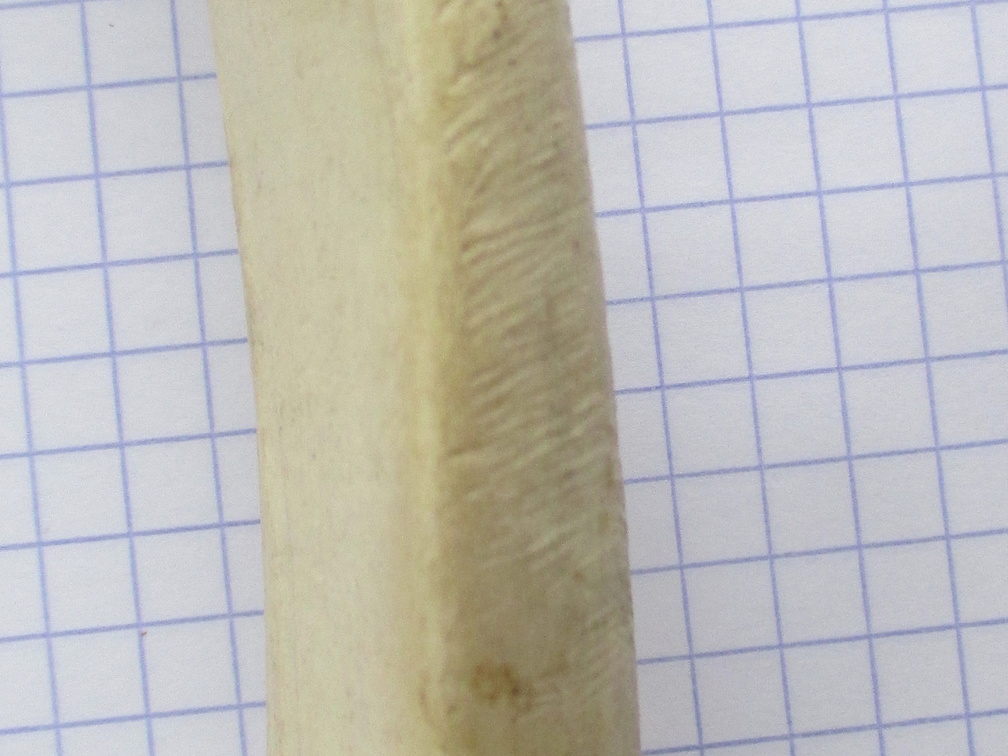Radius G diaph (13296 visites) Radius G diaph