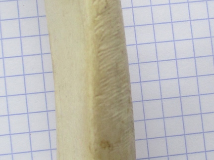 Radius G diaph (13304 visites) Radius G diaph