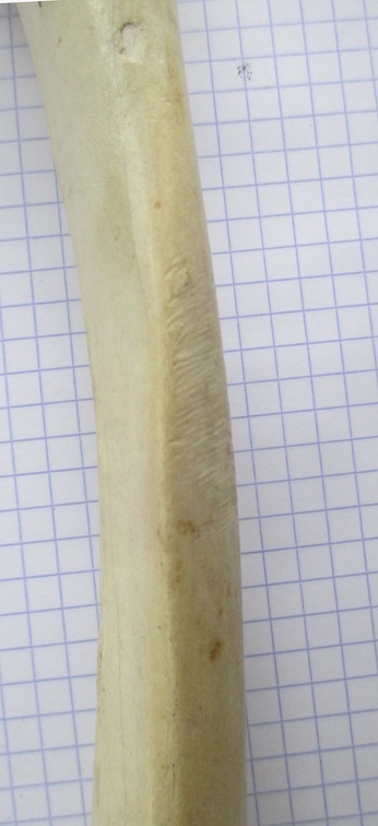 Radius G diaph