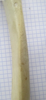 Radius G diaph