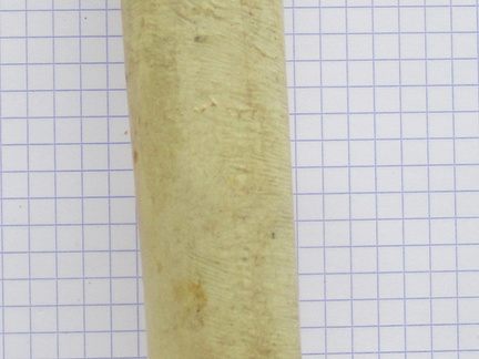 Radius G dors (12624 visites) Radius G dors