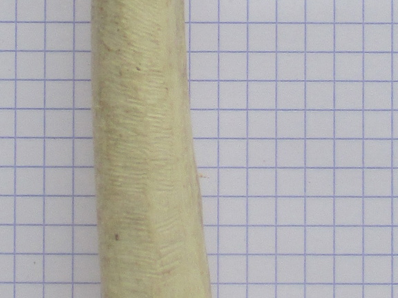 Radius G lat (14035 visites) Radius G lat