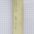 Radius G palm1
