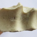 Radius G prox (13634 visites) Radius G prox