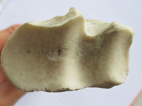 Radius G prox (13599 visites) Radius G prox