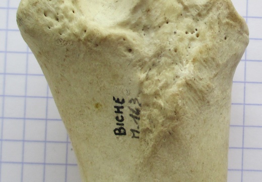 Radius G prox palm (11693 visits) Radius G prox palm