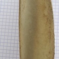Scapula G cran