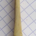 Ulna G dist2