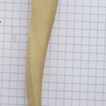 Ulna G lat (15483 visites) Ulna G lat