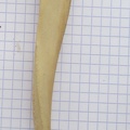 Ulna G lat