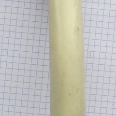 Fémur D cran (14162 visites) Fémur D cran