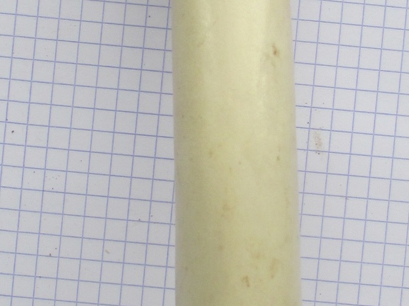 Fémur D cran (14177 visites) Fémur D cran