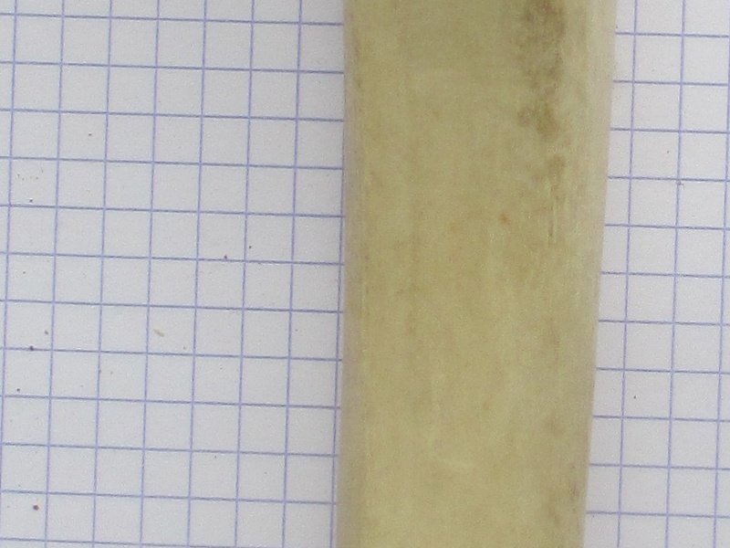 Tibia D cran (15507 visites) Tibia D cran
