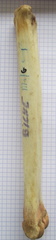 MTC G lat