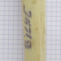 MTC G lat (15018 visitas) MTC G lat