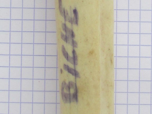 MTC G lat (15232 visites) MTC G lat