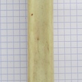 MTC G palm (14531 visitas) MTC G palm