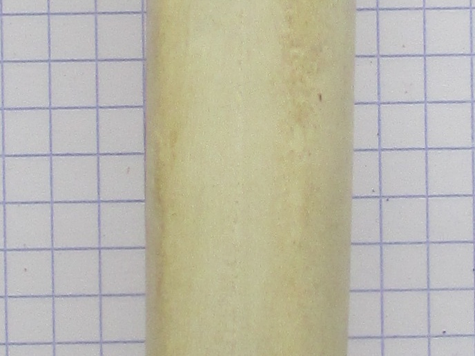 MTT G palm (14930 visites) MTT G palm