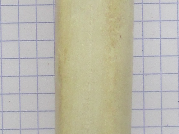 MTT G palm (15103 visites) MTT G palm