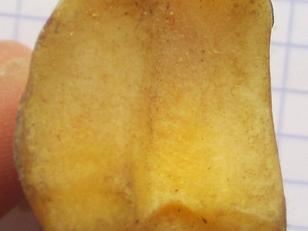 PH1 prox (13726 visites) PH1 prox