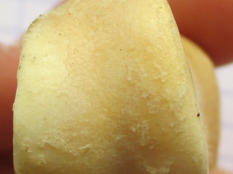 PH2 dist (16321 visites) PH2 dist