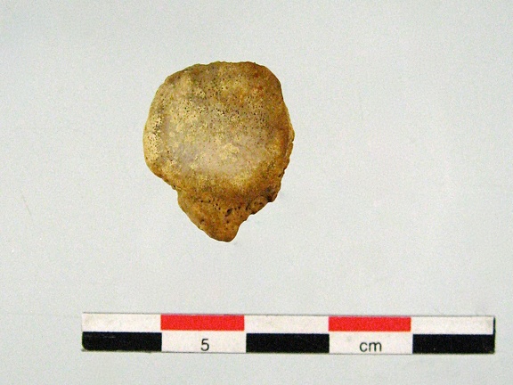 Patella posterieur (17002 visites) Patella posterieur