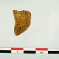 Patella lateral D (16320 visitas) Patella lateral D