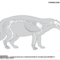 Civette africaine (6799 visites) Pander (Christian Heinrich), Alton (Eduard). ― Die vergleichende Osteologie. Bonn : In Commission ... Civette africaine