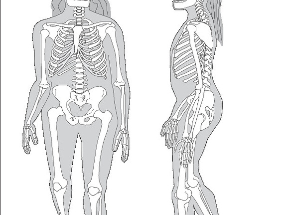 Homme de Néandertal (7822 visites) Sawyer (G. J), Maley (B.). ― Neanderthal reconstructed. The Anatomical Record Part B: The New Anat... Homme de Néandertal
