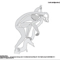 loris_tardigradus.pdf