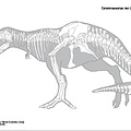 Tyrannosaure