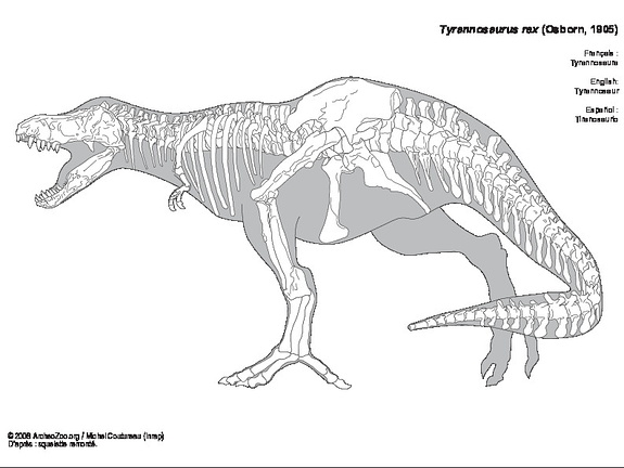 Tiranosaurio