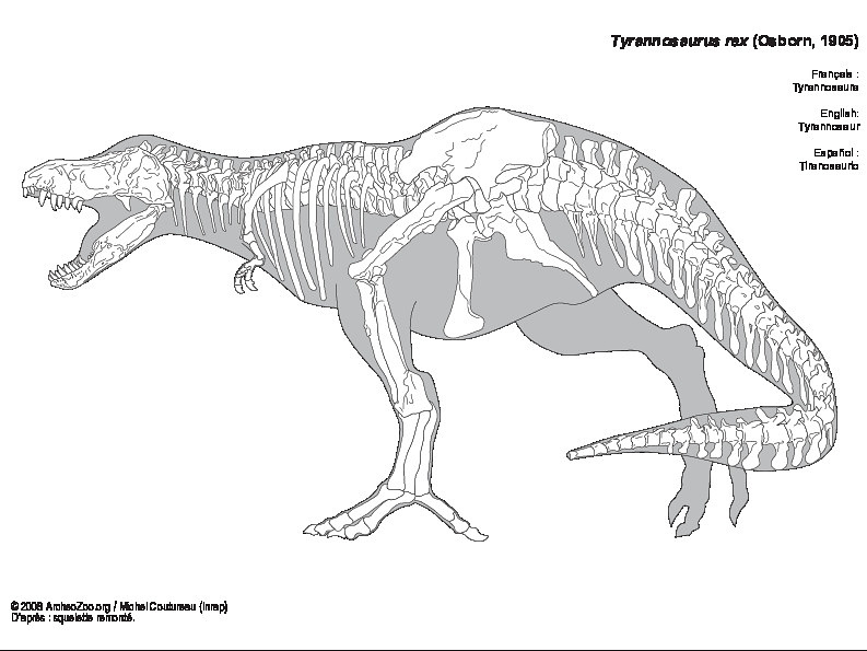 Tyrannosaur