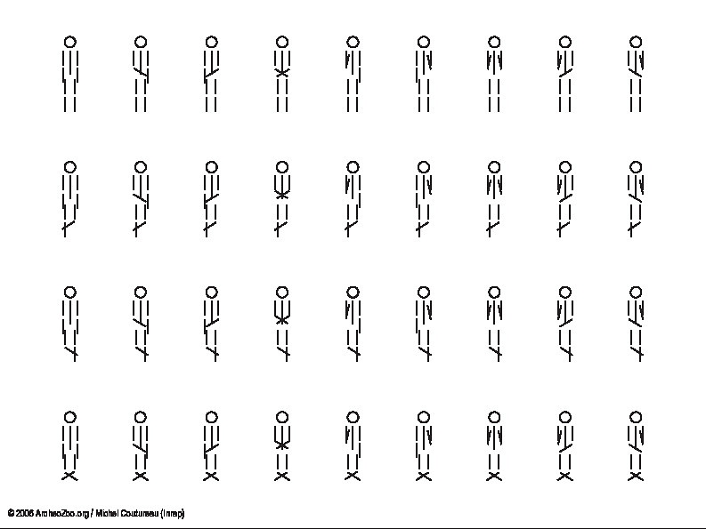 1 individu (5834 visites) 1 individu