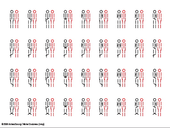 2 individus, même orientation (5636 visites) 2 individus, même orientation