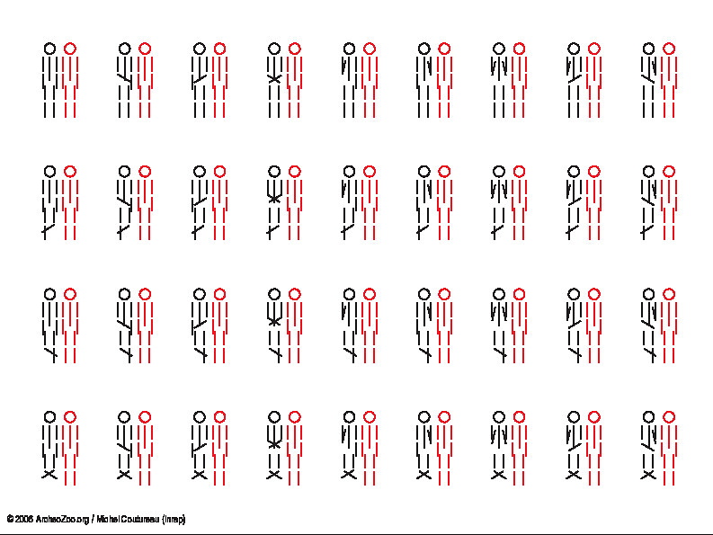 2 individus, même orientation (5621 visites) 2 individus, même orientation
