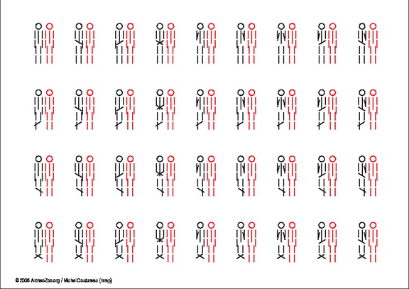 2 individus, même orientation