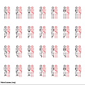 2 individus, même orientation (5511 visites) 2 individus, même orientation