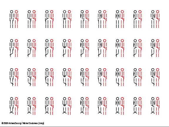 2 individus, même orientation (5516 visites) 2 individus, même orientation