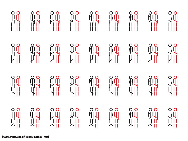 2 individus, même orientation (5503 visites) 2 individus, même orientation
