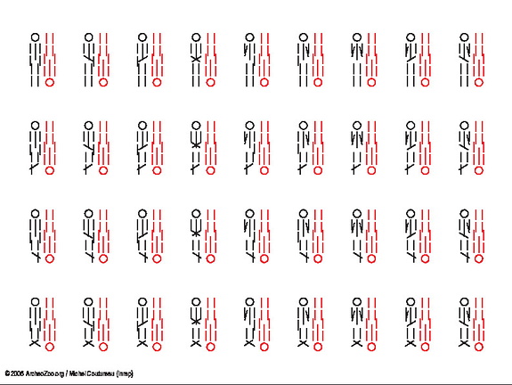 2 individus, orientation opposée (5439 visites) 2 individus, orientation opposée