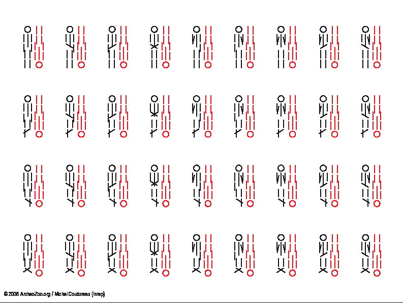 2 individus, orientation opposée (5423 visites) 2 individus, orientation opposée