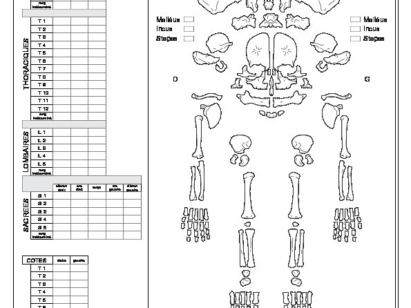 Homme (périnatal) : conservation (7247 visites) Constandse-Westermann (T. S.), Meiklejohn (Ch.). ― The human skeletal material from Swifterbant, e... Homme (périnatal) : conservation
